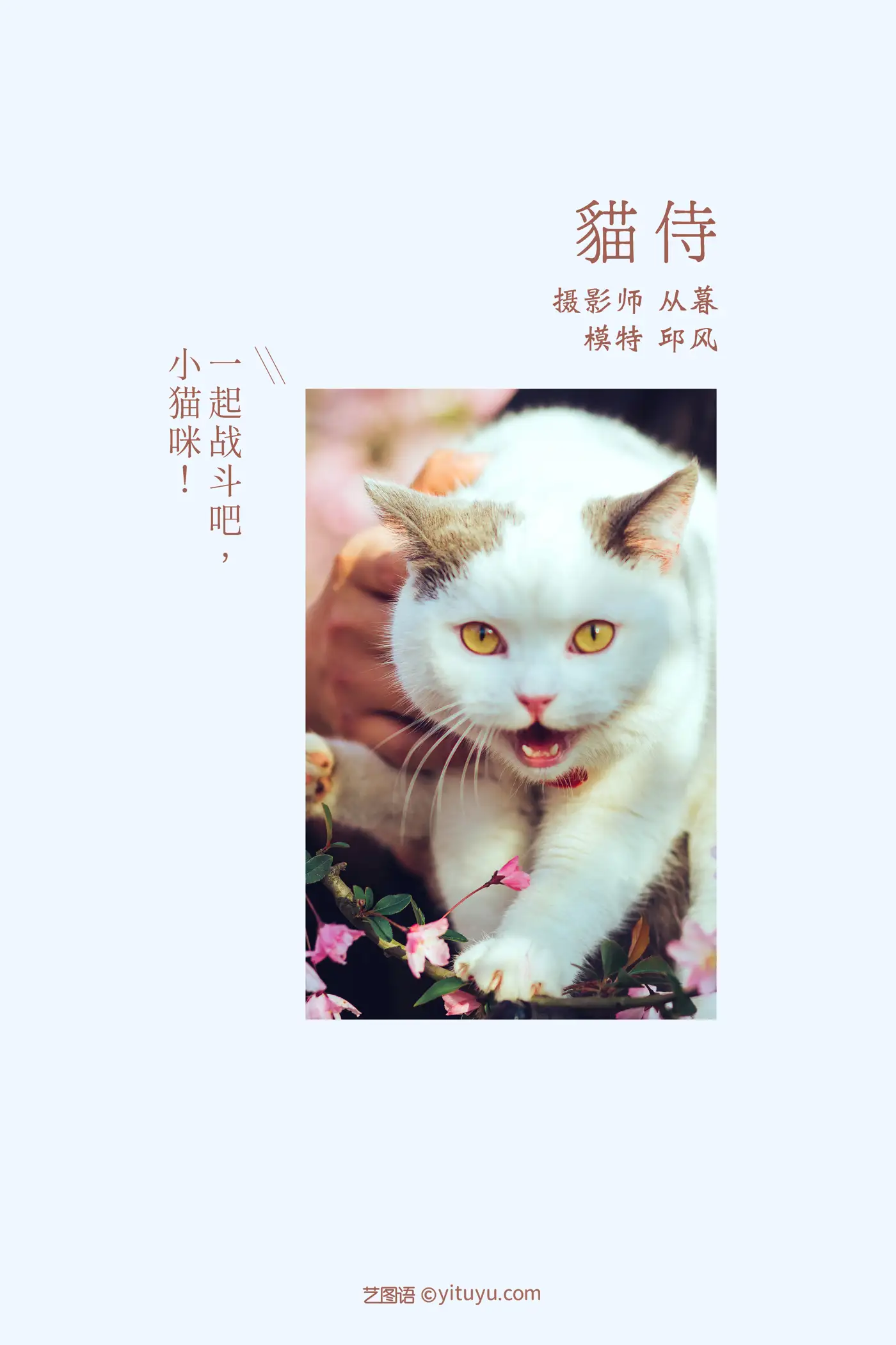 [YITUYU] 2021.09.04 Vol.245 – Cat Attendant Qiu Feng#[31P]-2